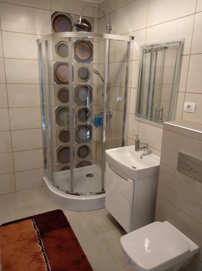 Апартаменты Apartament Ramona Брашов Экстерьер фото