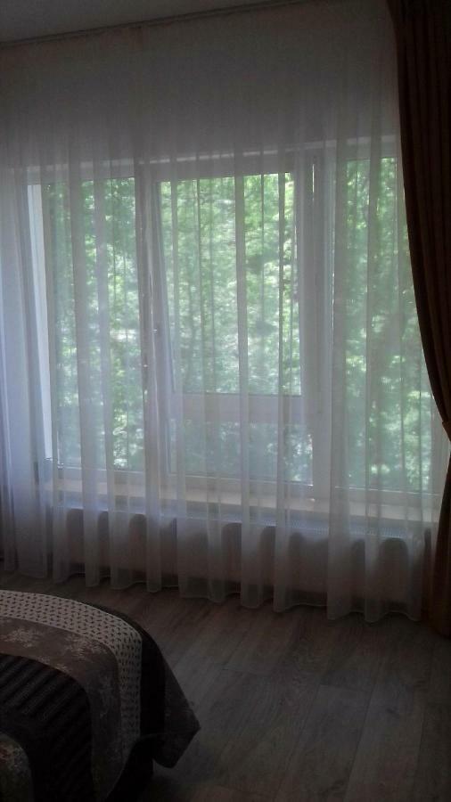 Апартаменты Apartament Ramona Брашов Экстерьер фото