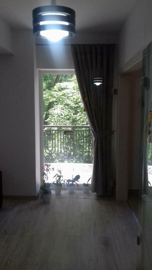 Апартаменты Apartament Ramona Брашов Экстерьер фото